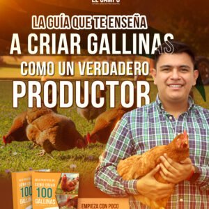 Cursos de 0 a Experto
