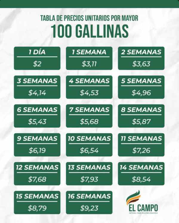100 Gallinas - Image 2