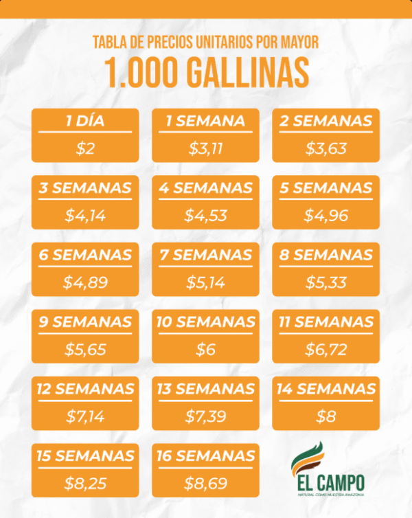 1000 Gallinas - Image 2