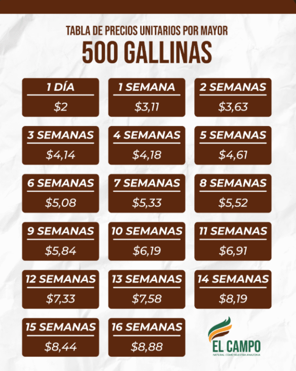 500 Gallinas - Image 2